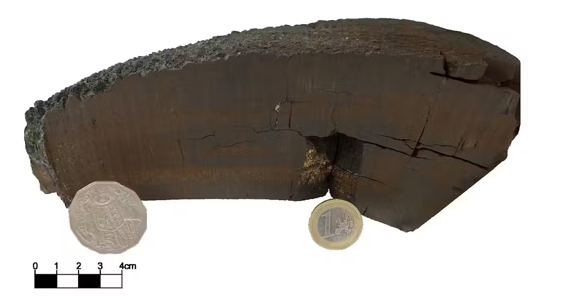 Ferromanganese crust sample VA13/2-237KD analysed in this work. The anomaly was discovered in this crust at a depth of about 30mm – representing 10 million years. Image: Dominik Koll