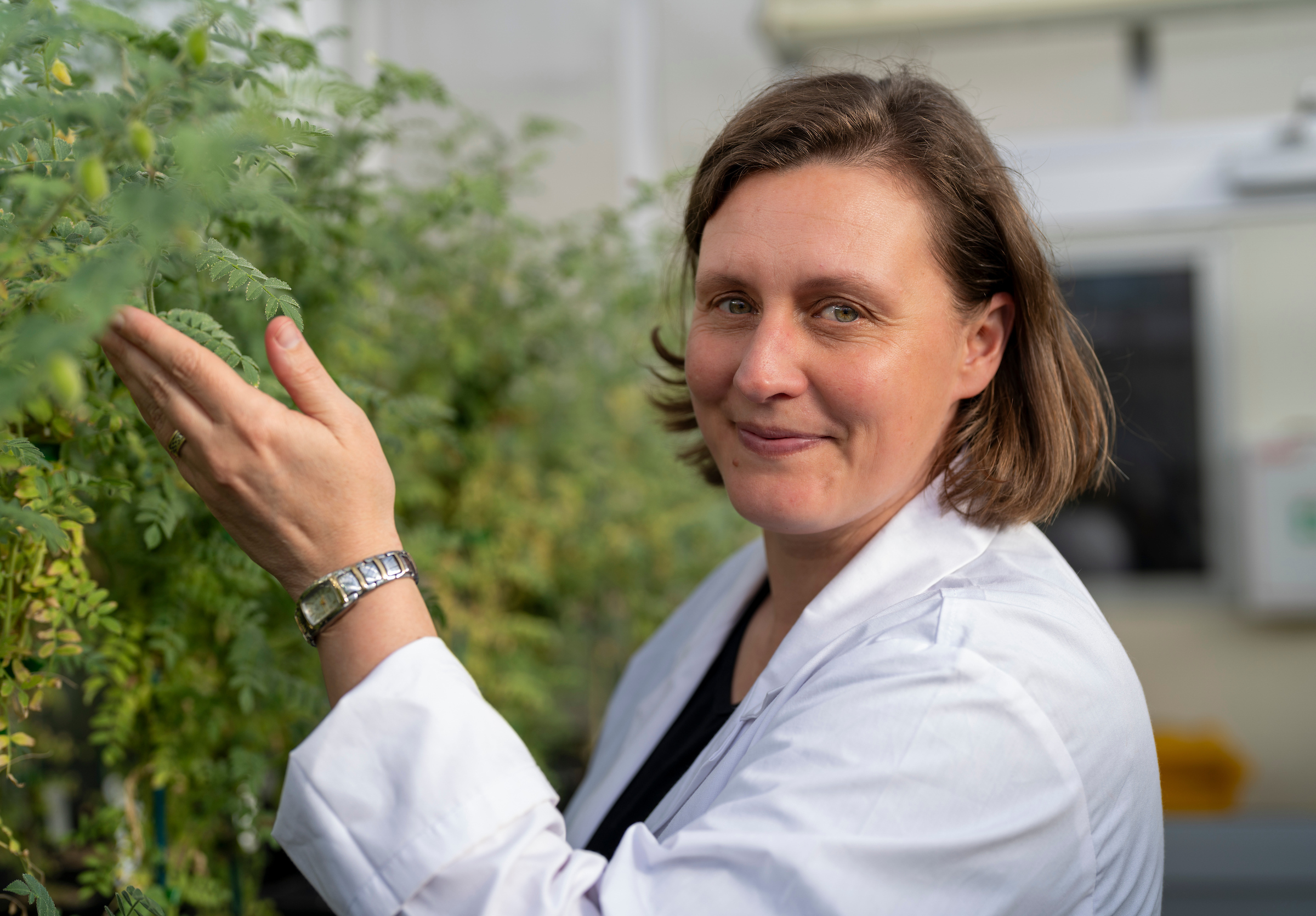 Professor Caitlin Byrt