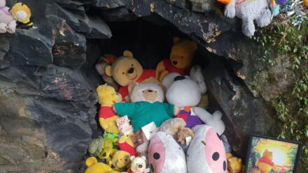 news thumbnail image