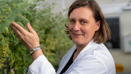 news thumbnail image