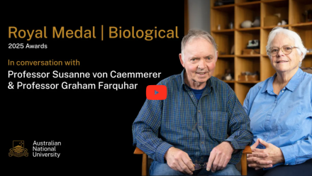 news thumbnail image