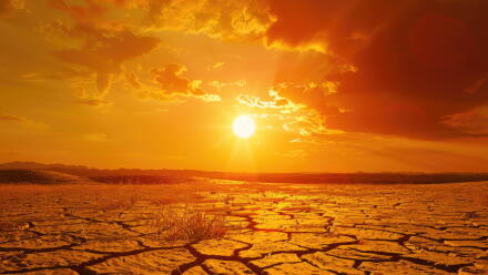 news thumbnail image