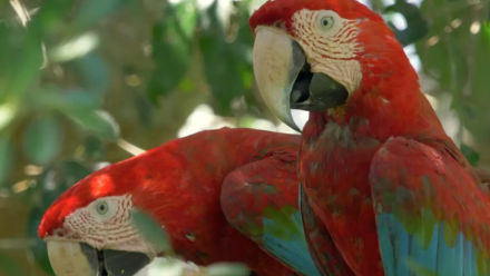 news thumbnail image