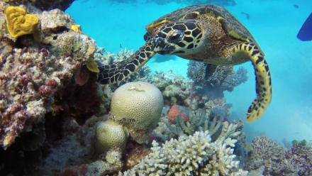 news thumbnail image