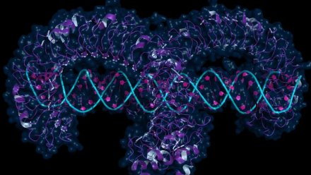 news thumbnail image