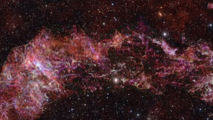 news thumbnail image