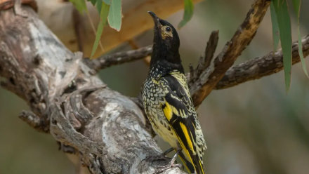 news thumbnail image