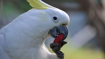 news thumbnail image
