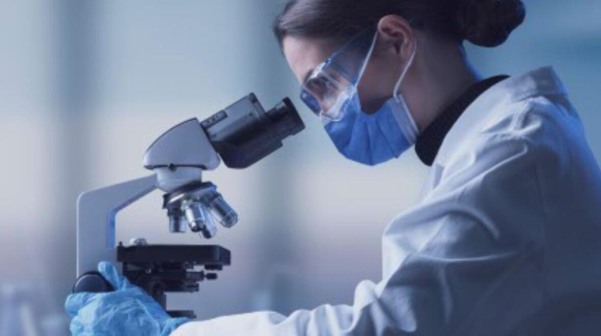 our research thumbnail