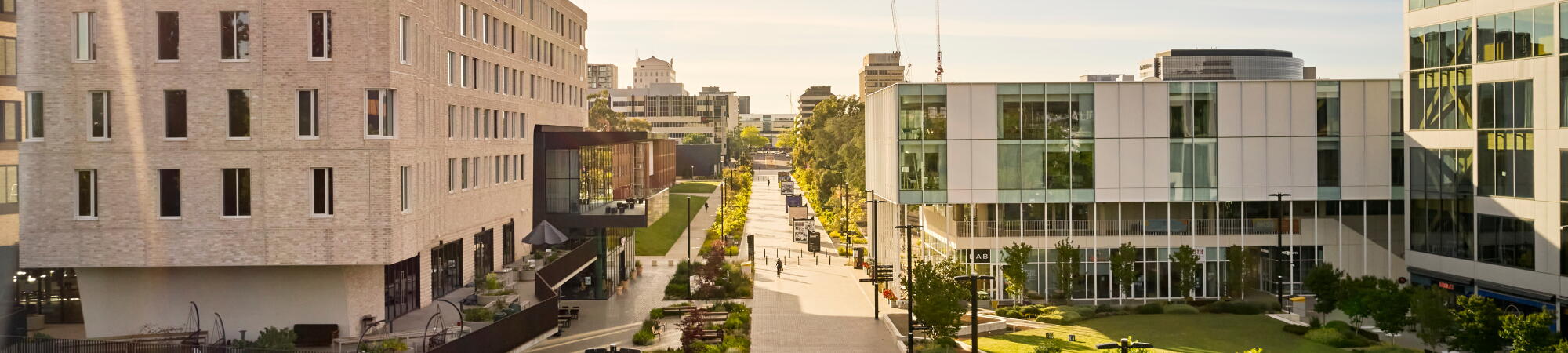 University Avenue and Kambri