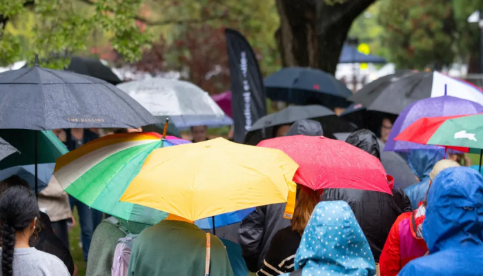 news thumbnail image