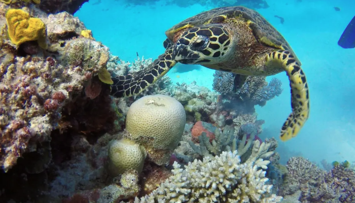 news thumbnail image